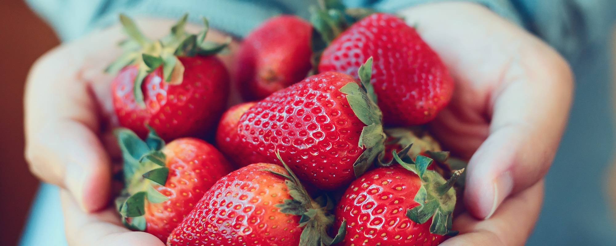 strawberrypicking image